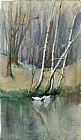 Famous Scene Paintings - Wood Scene with Birch Trees and Ducks